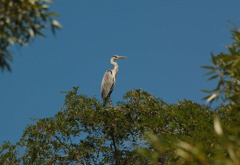 � ������������� �������� ���������������� ����������