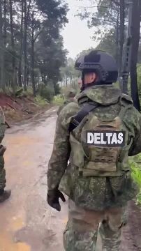 ��� ���������, ��� �� ���� ������������ ������� ������� "�������"