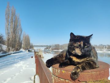 23 ������� ��������� �������� � ������������ ������, ���� ������� ������ �����, ������ �������