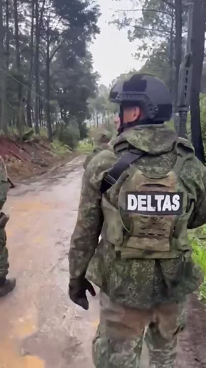 Для понимания, что из себя представляют боевики картеля "Халиско"