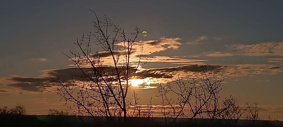 ����� � �������� ����������� ���������: �� ���� ��� ���� ���������� � ������� �������