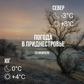 ���� ������� ������ �����. �� ������� ����������