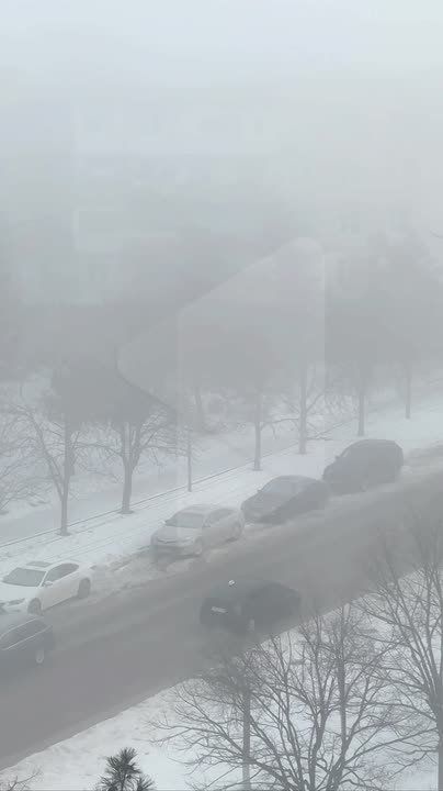 ����������� �������� ���� � ���������