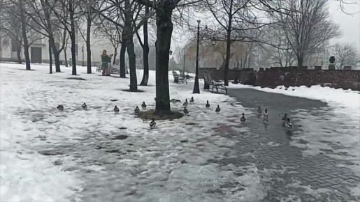 �� ��������������� ����� ������ ����� ����