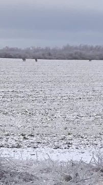 ����� ������ �������� �� ����� � ���������� ����������� � ��� � 20 �� �� �������������