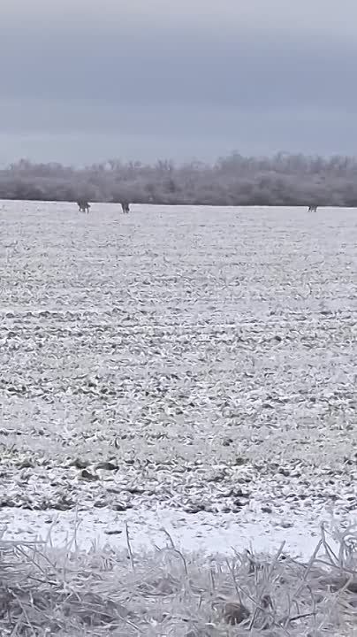 ����� ������ �������� �� ����� � ���������� ����������� � ��� � 20 �� �� �������������