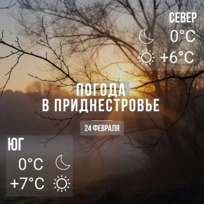 Утром местами туман. Днём – до +7°С