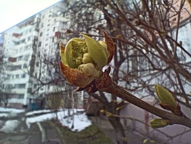 ������� ������� �����. ����� ������������ �� ��. �������