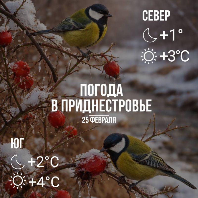 ���� � �� +4. �������, � ������������