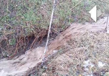 ������ ���� ������� ������� � �������� ��������