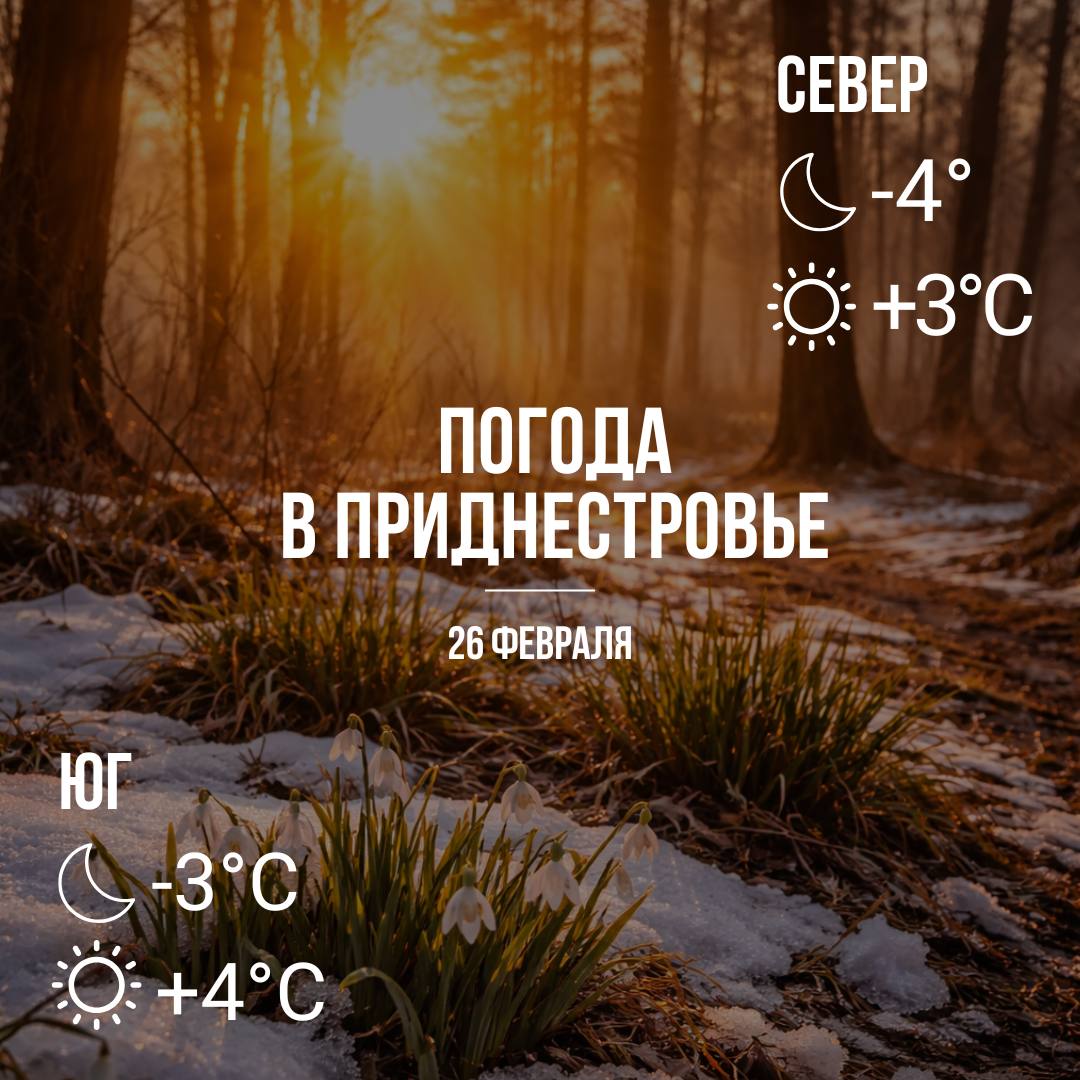 Днём – до +4. Без существенных осадков