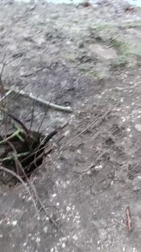 Яма появилась на одной из дорожек в парке «Победа» в Тирасполе, там провалилась земля