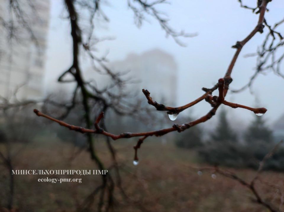 �� ��������� ������ � ������������� ��������� ��-��������� ����� ������