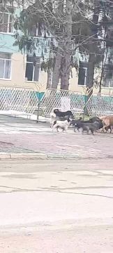 �������� ���� ����� ����� 4-� ����� � ����������