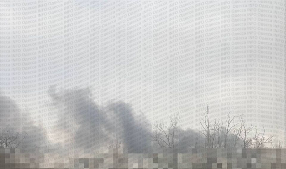 ������� ���� �� �������������� ���������-������������� �������� �������: ����� ��� �����