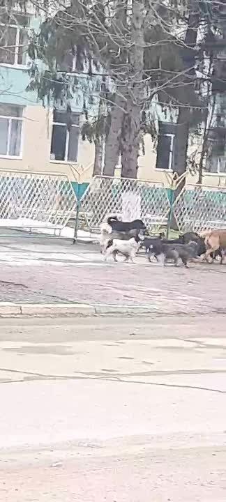 �������� ���� ����� ����� 4-� ����� � ����������