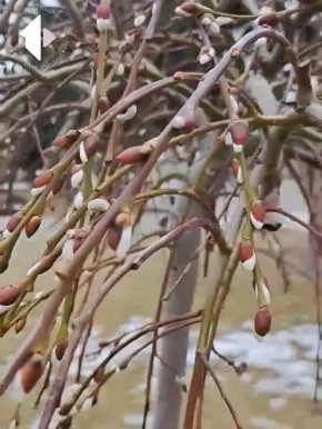 ����� ������ � ����� ������!