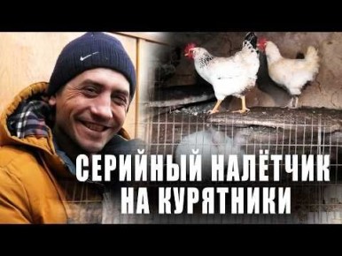 ������������ ����� ������������ �������