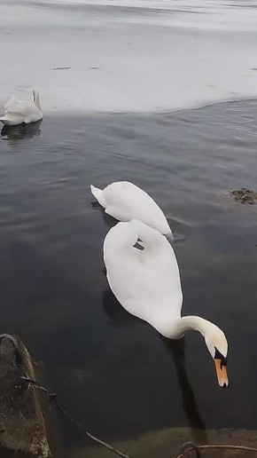 ��������� ����� ������������� � ����������