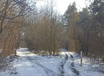 ������ ���� ����� ������ ����� � ������ �������