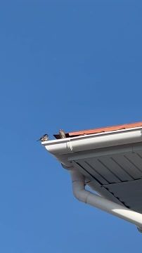 ������� �� ��������� ������ ������ ������