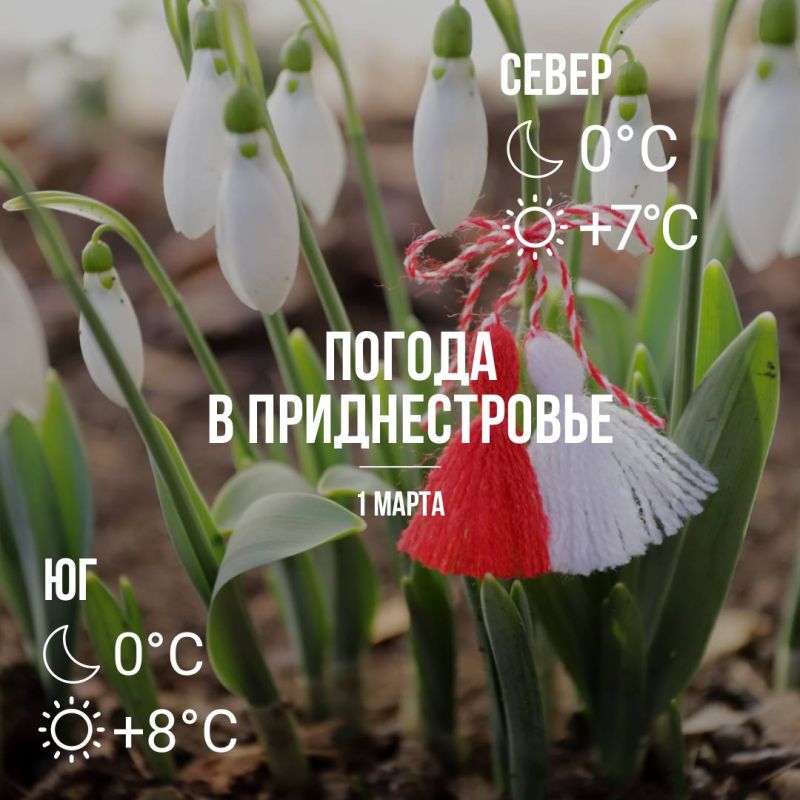 В первый день весны – до +8°С, без осадков
