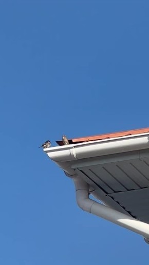 ������� �� ��������� ������ ������ ������