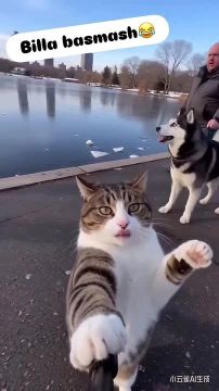 ���� � ����� � ��� ��������� ����� ���������������� �������� ������� ��