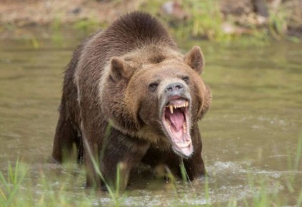 ������� ����� �� ������ ������� � ������� ������������ � ������� �����, ������ �� � ��������