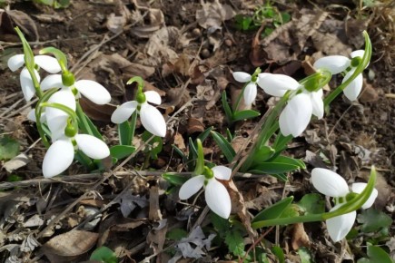 Прогноз погоды на сегодня, 2 марта