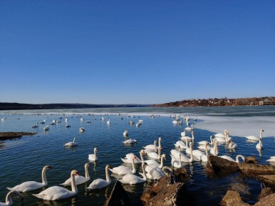 � ������� ���� ����� �� ������������ �������������