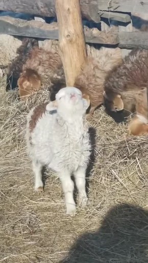 Солнце и 10 градусов тепла прогнозируют метеосайты на ближайшие три дня