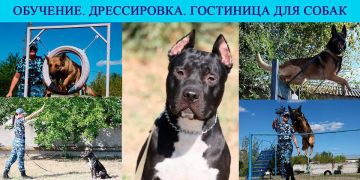 ��������, �����������, ��������� ��� �����