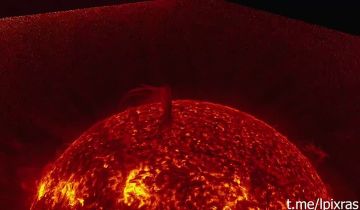 ���������� ������������ �������� � ������