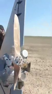 ������ ����������� ������� ������������ ����-��������� LUCAS ���������� ����������