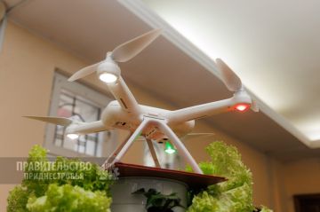 ���������-�������� ������� ����� � ������� ������