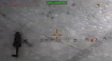 В джунглях Эквадора:. Пентагон показал «начало боевых действий против международных наркокартелей»