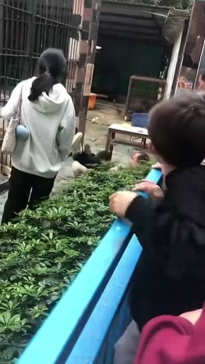 ����� �������� 10-������ ������� �� ������������ ������ ������������ ����� �������� � ��������� ������ �������� ���������� �� ��������