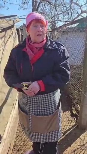 В Терновке объявилась лиса, которая таскает кур