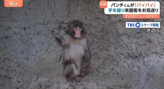 ��������� ��������� ���� �������� �������������� ����� �������