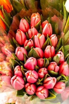 ��� ����� ������� ��������������� �� ����� ��� ����������������� ������ ������: �������� ������ ������� �� 25�30 ������, ����������� � �� 35. ���� ����� �������� ������� � �����, ��������� ����� �����