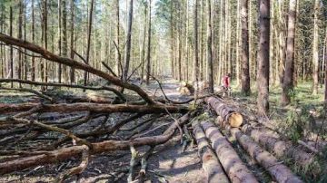 ���� ��������� ����������� ������������� �������� � ����� �������������� ��� ��������� �������������, ����������������� � ������������� ������ ���������� ������� ��� ����� ��������� � ����������, ����� �� ���������� �����...