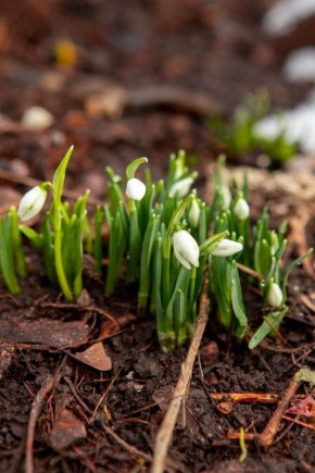 6 ����� ��������� �������� ������ � ������������, ��� ������������ �������