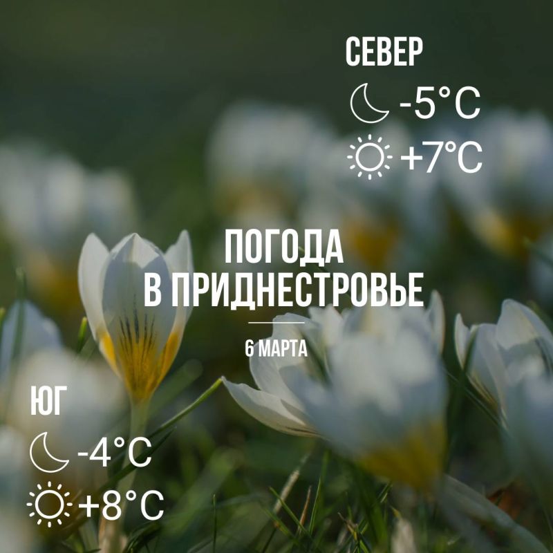 Днём – до +8°С, без осадков