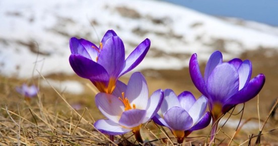 ����� ��������: � ������������� �� ��������� ������ �� +15�C � ��� �������