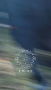 ��� ������� ��� ����! ������, ������! �������!� � ��������� ��������� �������� ���� ��-��� �������