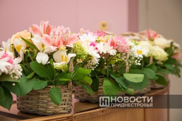 ��������� ���������� �� ���: � 8 ����� � ������������� ������ ����� 80 ����� ������