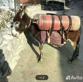 ������ ������: ���� ������ � ��� ������