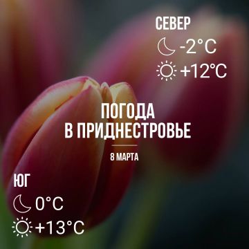 ���� � �� +13��, ��� �������