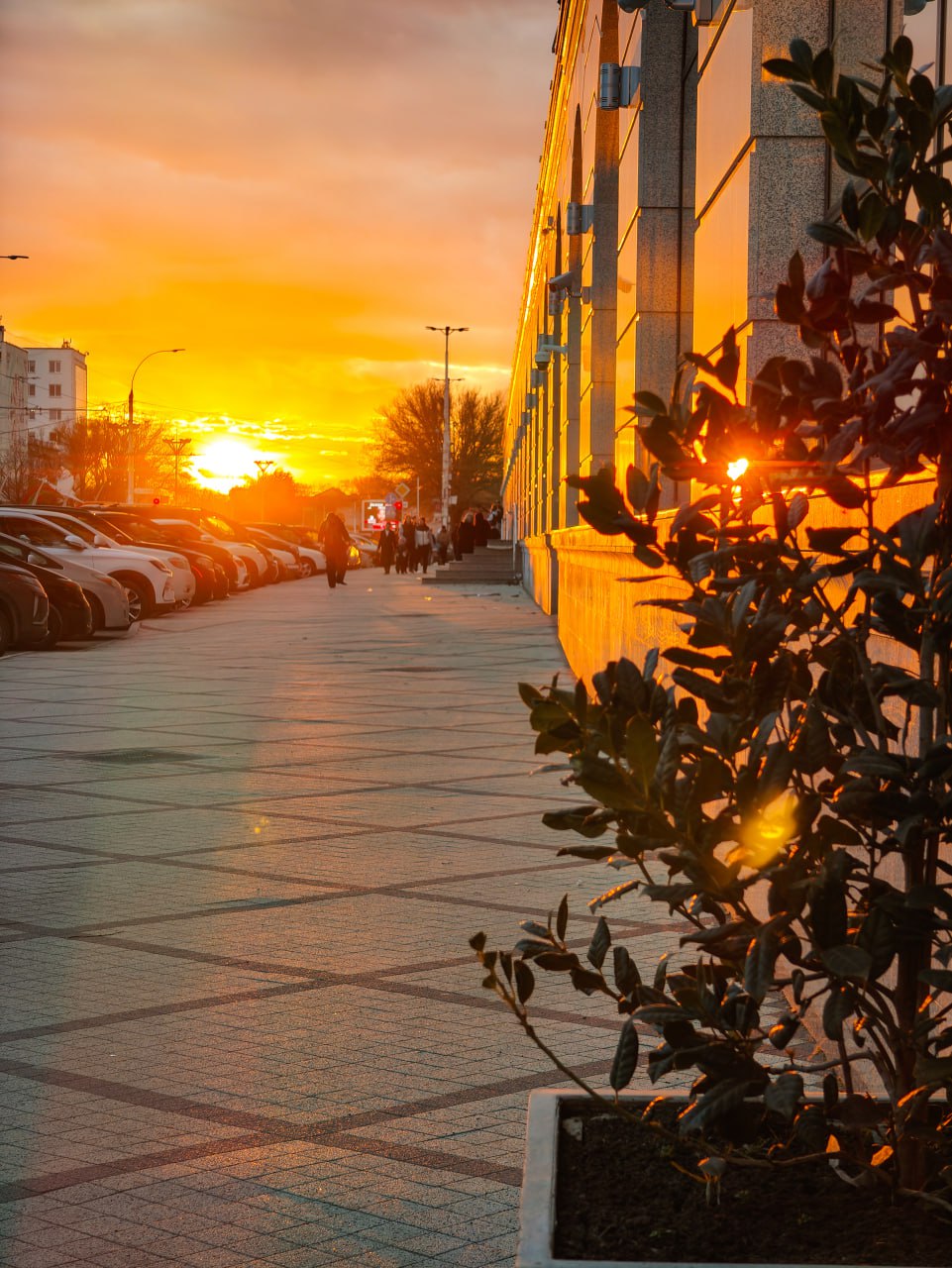 Золотой закат в столице в объективе Виталия Калерина Золотой закат в столице в объективе Виталия Калерина